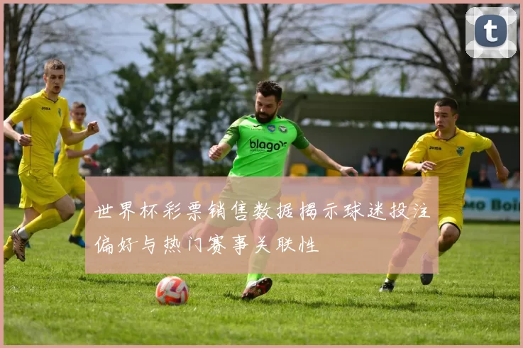 世界杯彩票销售数据揭示球迷投注偏好与热门赛事关联性