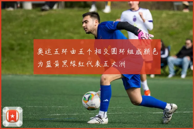 奥运五环由五个相交圆环组成颜色为蓝黄黑绿红代表五大洲